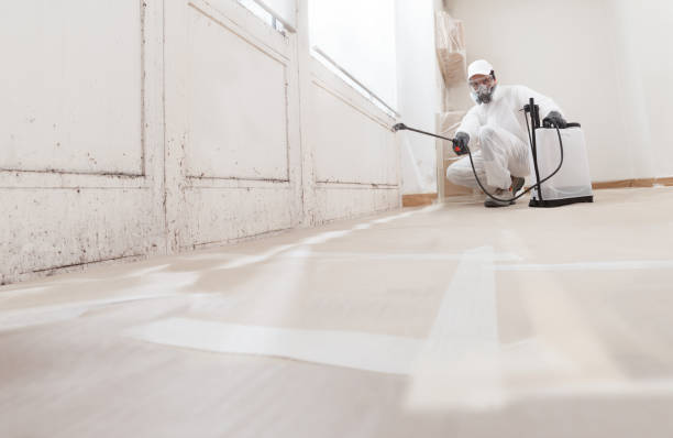 24/7 Emergency Mold Cleanup experts in Capitol Heights, MD
