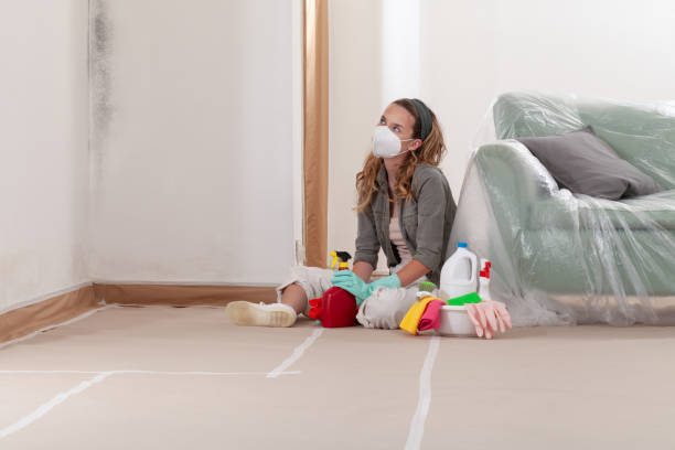 Reliable Mold Cleanup contractor in Capitol Heights, MD by Cheap Mold Removal